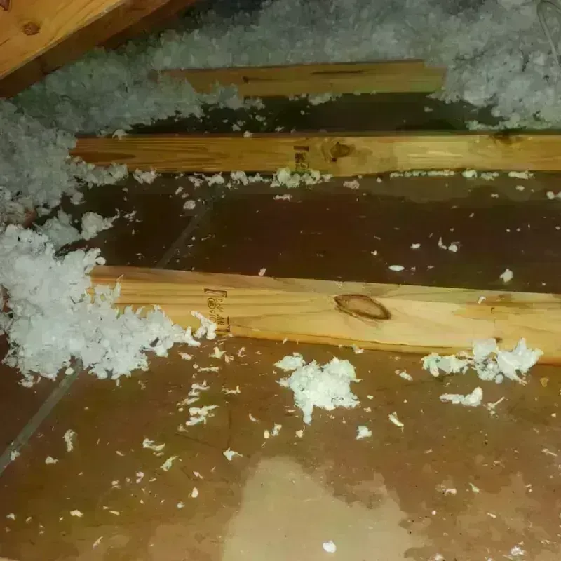 Attic Water Damage in Medford, MN