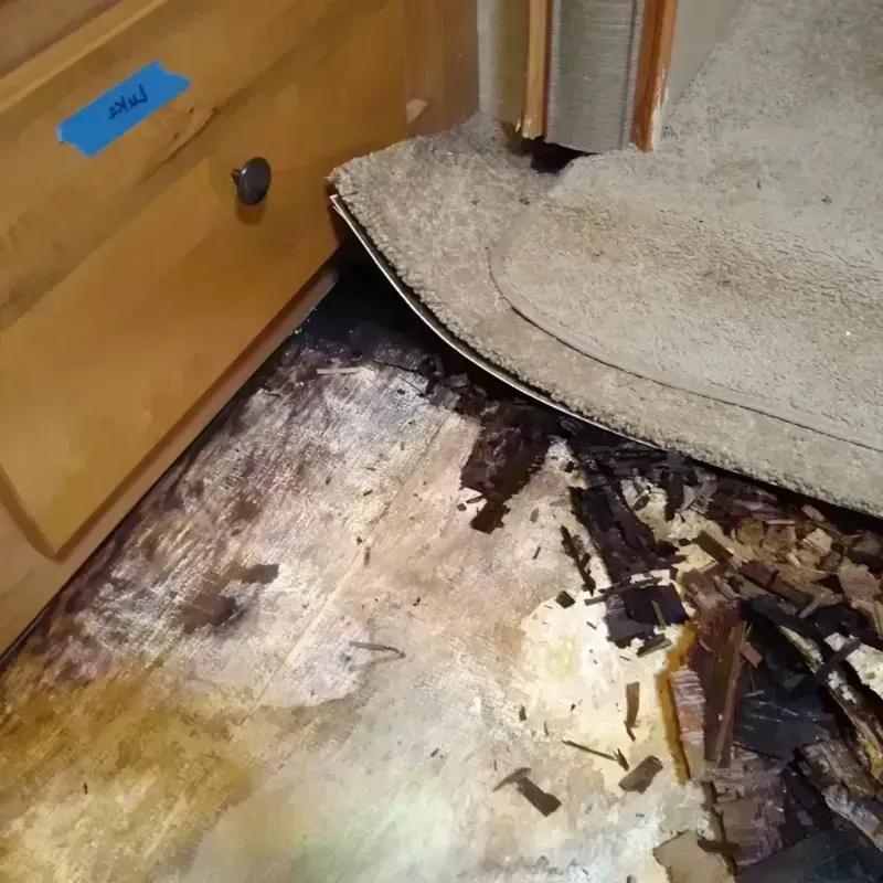 Wood Floor Water Damage in Medford, MN